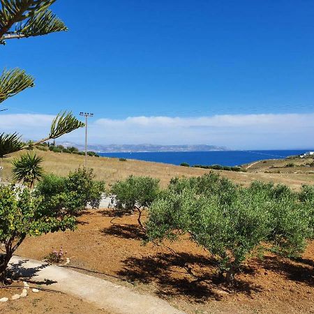 Anthoula'S Sea View Apartment Piso Livadi Bagian luar foto