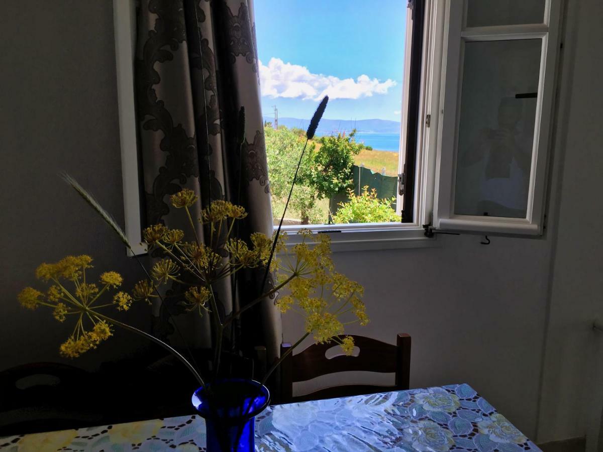 Anthoula'S Sea View Apartment Piso Livadi Bagian luar foto