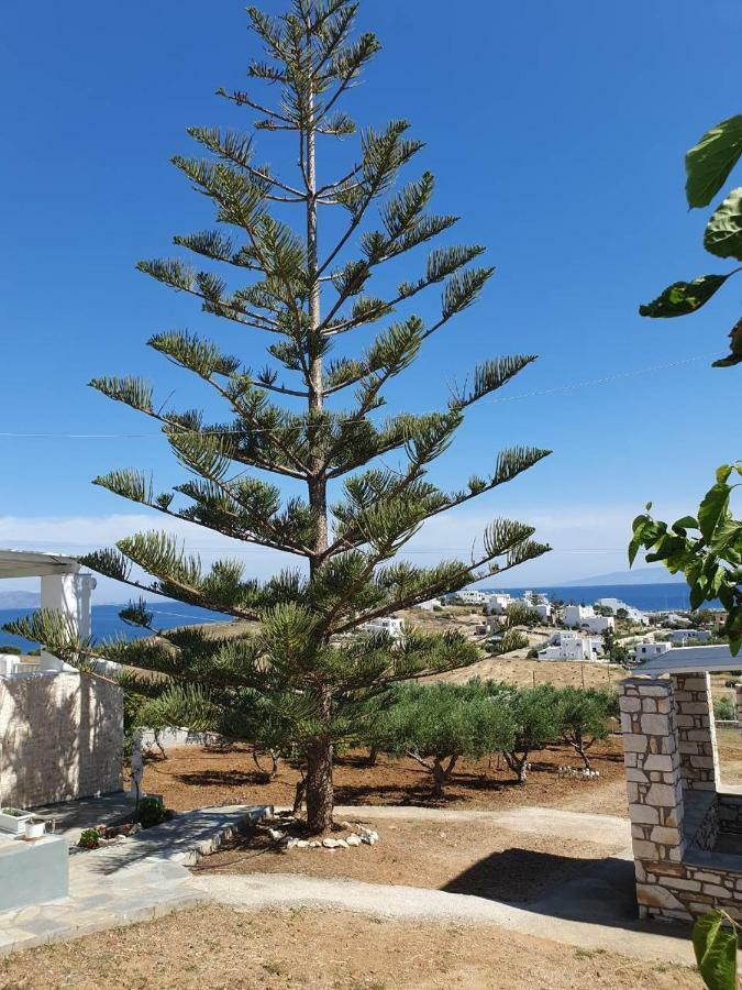 Anthoula'S Sea View Apartment Piso Livadi Bagian luar foto