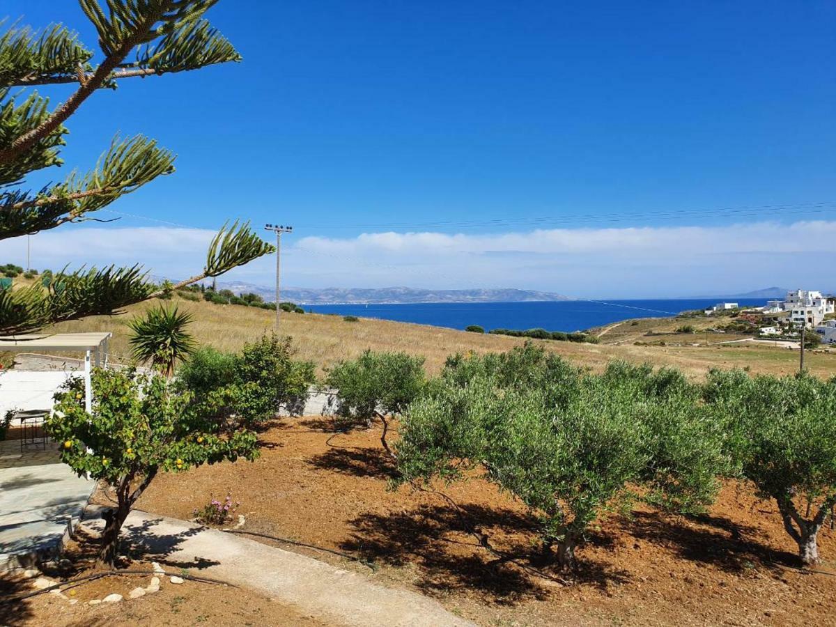 Anthoula'S Sea View Apartment Piso Livadi Bagian luar foto