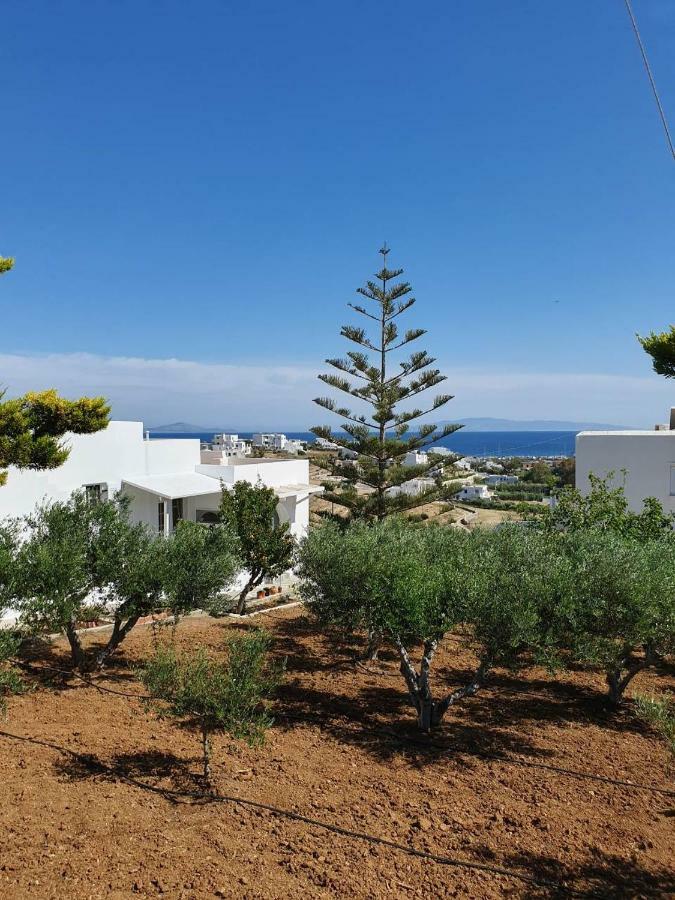 Anthoula'S Sea View Apartment Piso Livadi Bagian luar foto