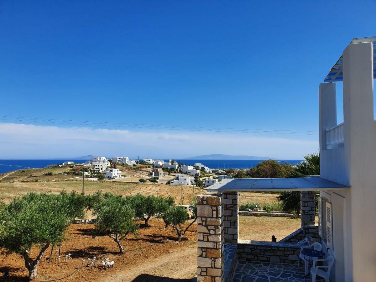 Anthoula'S Sea View Apartment Piso Livadi Bagian luar foto