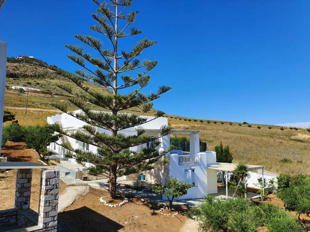 Anthoula'S Sea View Apartment Piso Livadi Bagian luar foto