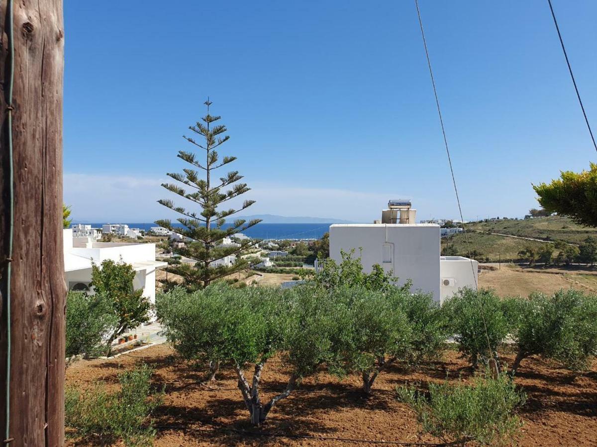 Anthoula'S Sea View Apartment Piso Livadi Bagian luar foto