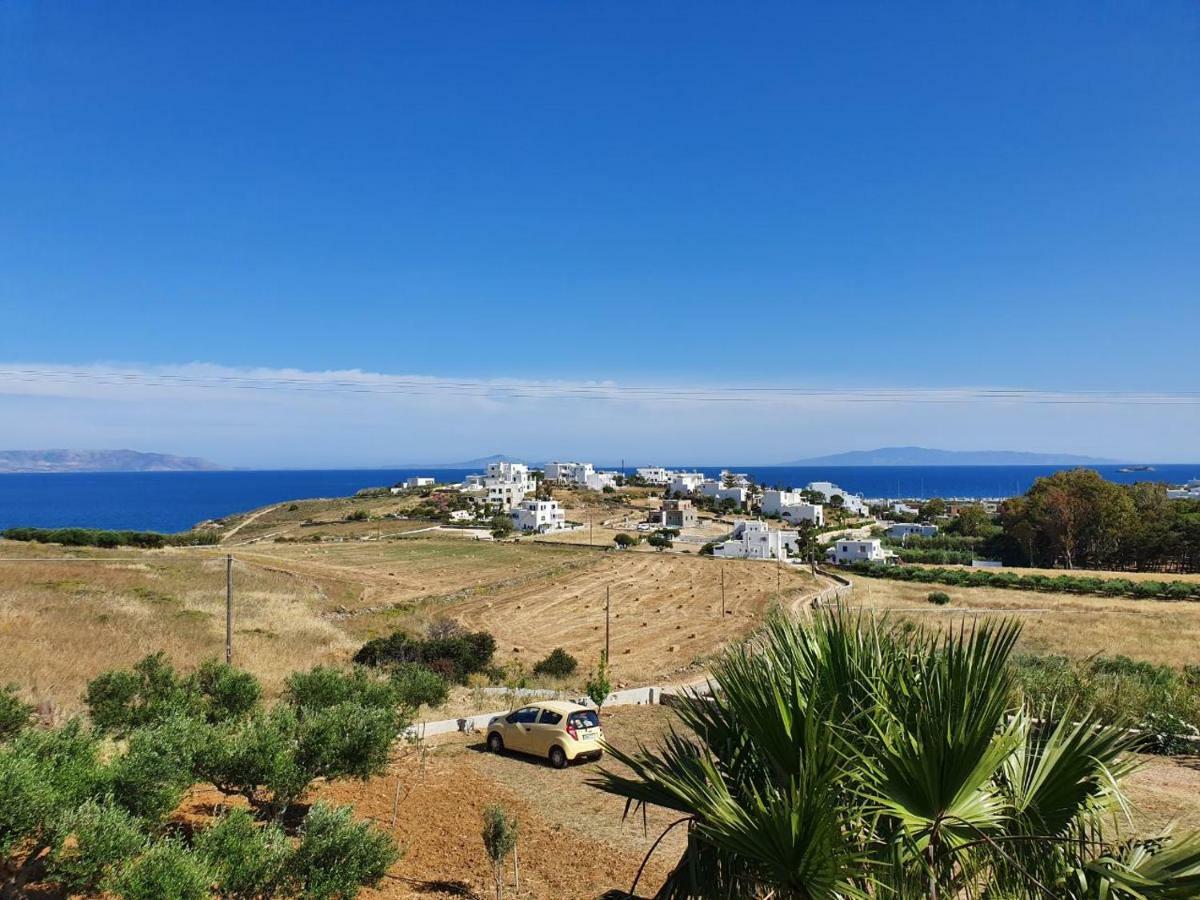 Anthoula'S Sea View Apartment Piso Livadi Bagian luar foto