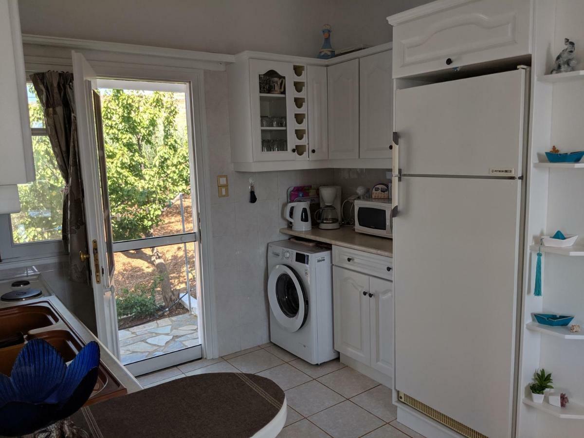 Anthoula'S Sea View Apartment Piso Livadi Bagian luar foto