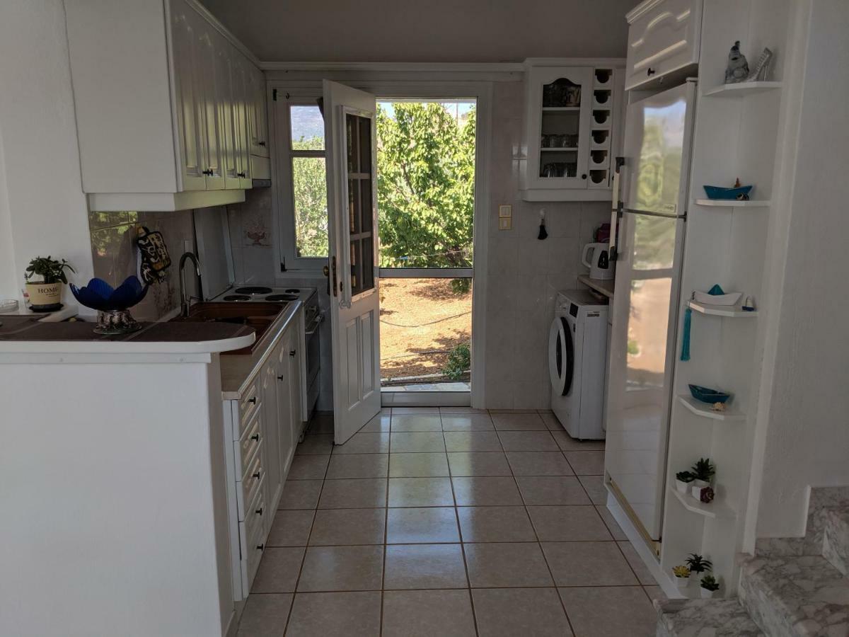 Anthoula'S Sea View Apartment Piso Livadi Bagian luar foto